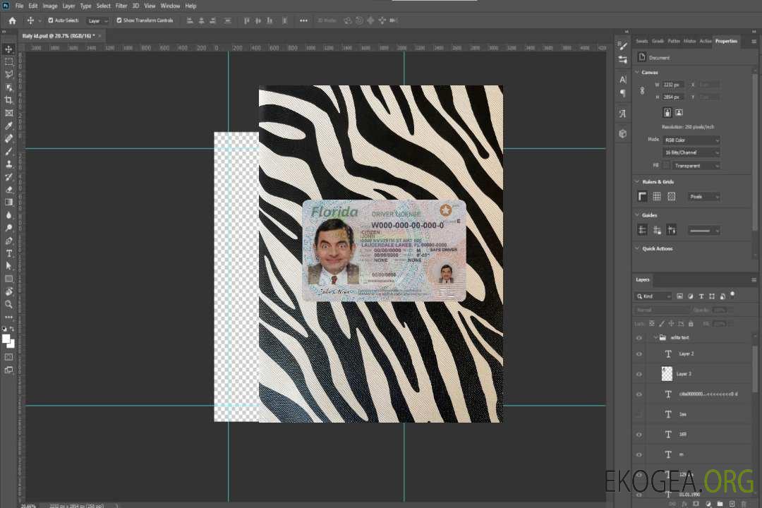USA Floride permis de conduire 2018-présent photolook recto template USA Floride permis de conduire 2018-présent photolook recto template
